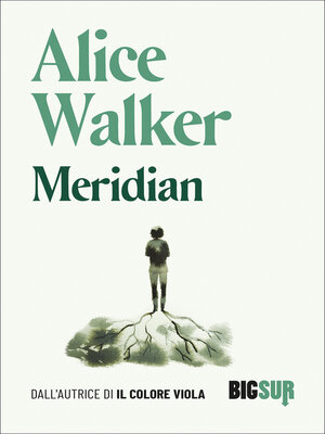 cover image of Meridian
